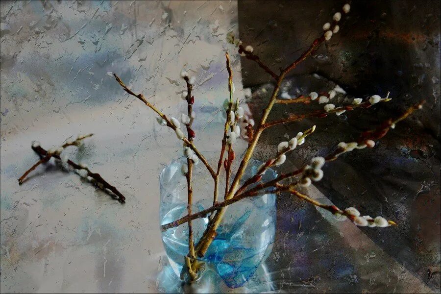 Блонская вербное воскресенье. Блонская вербное воскресенье