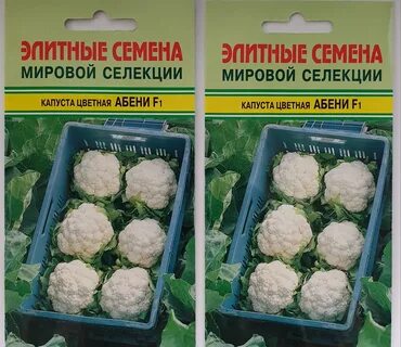 Сорт капусты абени