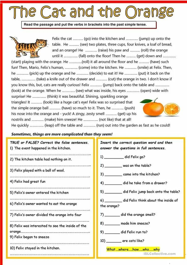 Reading Comprehension английский. Чтение Elementary Worksheet. Reading exercises for Elementary английский. Worksheet reading на английском. True false 6 класс