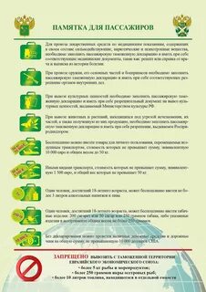 Можно ли в турцию провозить