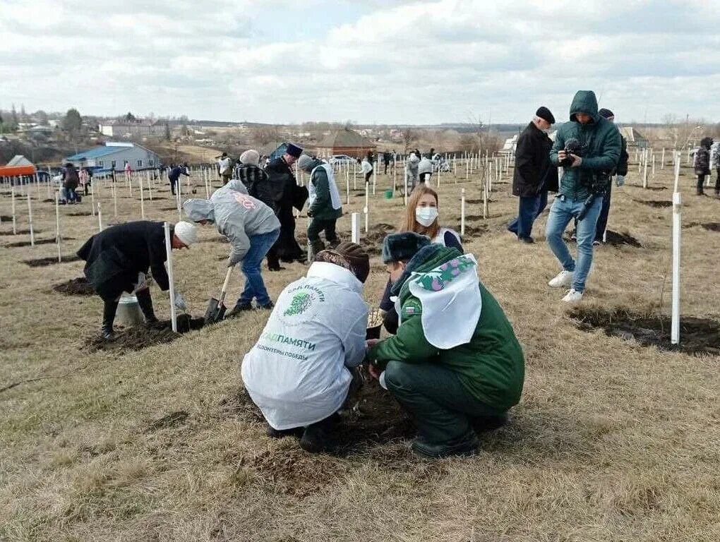 1 мая белгородская область. Сад памяти Илек Пеньковка. Массовая высадка деревьев. Высадка деревьев статистика. События на сегодняшний день в Белгородской области.