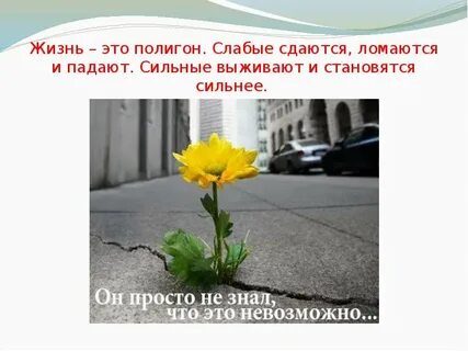 Сильно сдала