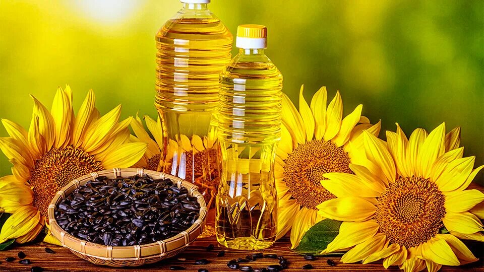 Масло подсолнечное. Sunflower Oil. Подсолнечное масло радость. Масло подсолнечное этикетка. Качественное подсолнечное масло