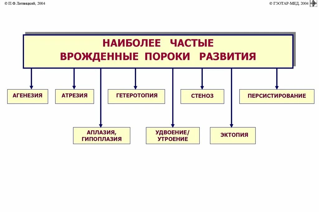 Классификация впс у взрослых. Частые врожденные пороки. Врожденные клапанные пороки сердца. Клинические симптомы врожденных пороков сердца. Профилактика врожденных пороков сердца.