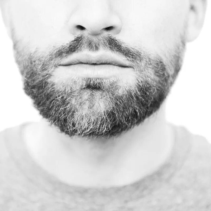 мужские стрижки том харди. форма бороды для овального лица. Ben affleck beard 2023. форма бороды у мужчин. джастин тимберлейк стрижка канадка.