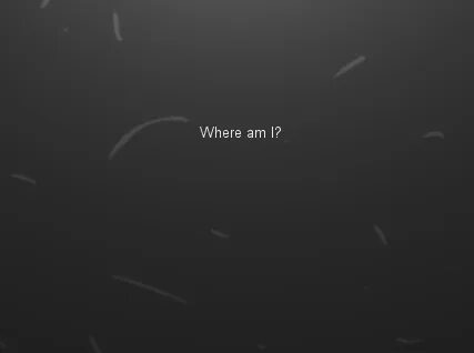 Where am l here