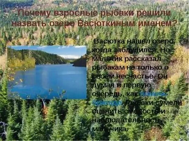 Почему озеро назвали Васюткиным. Почему взрослые рыбаки назвали озеро Васюткиным именем. Васюткино озеро рыбаки. Почему взрослые назвали озеро Васюткиным. Почему озеро названо именем васютки