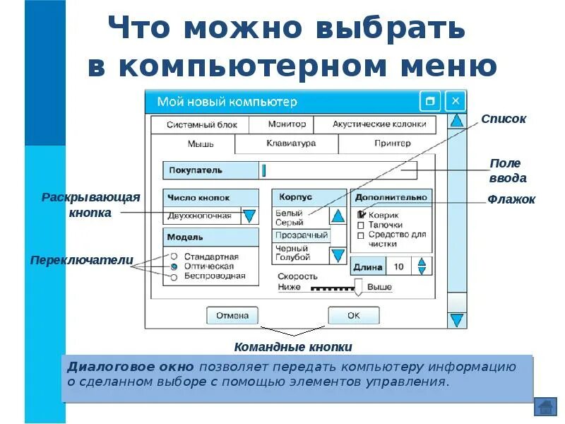 Интерфейс окна приложения 7 класс Информатика. Диалоговое окно. Элементы диалогового окна. Элементы управления компьютером. Элементы управления имеют