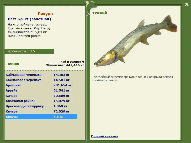 6 парана трофей. 7. рр3 99 амазония. рыбалка 3 амазонка. сом тигровый сорубим.
