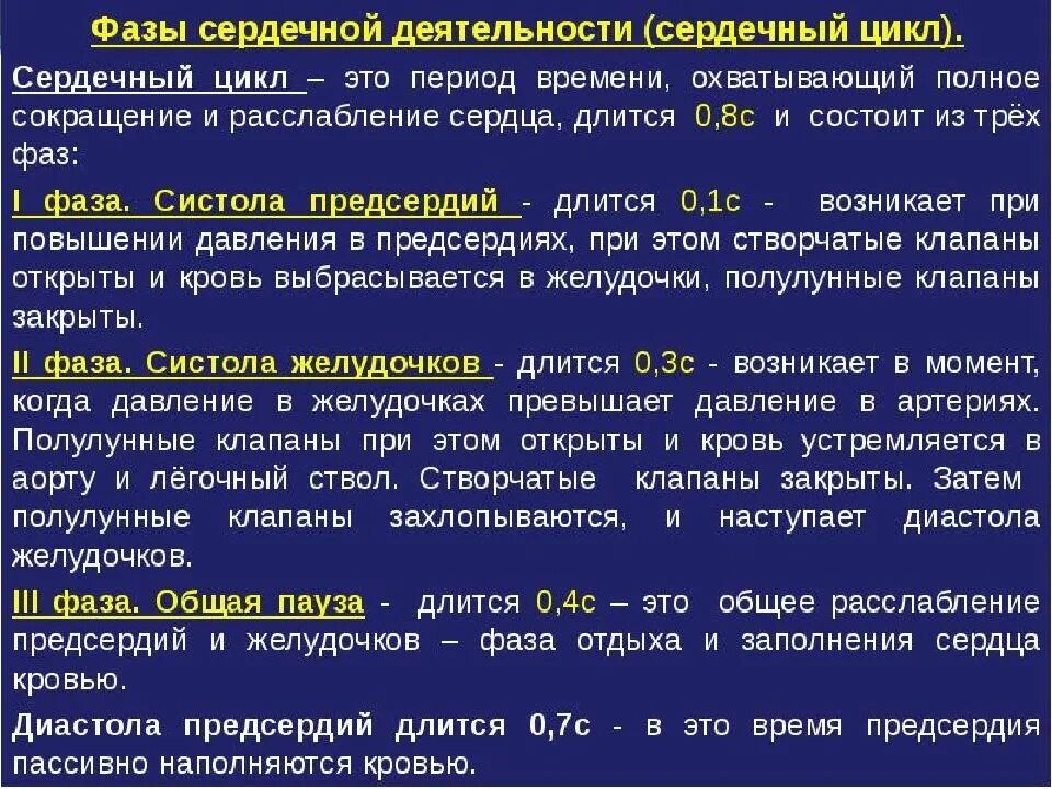 Как называется сокращение желудочков. Характеристика фазы сердечной деятельности. первая фаза цикла сердечной деятельности. фазы сокращения желудочков сердца. таблица фазы цикла сердечной деятельности.