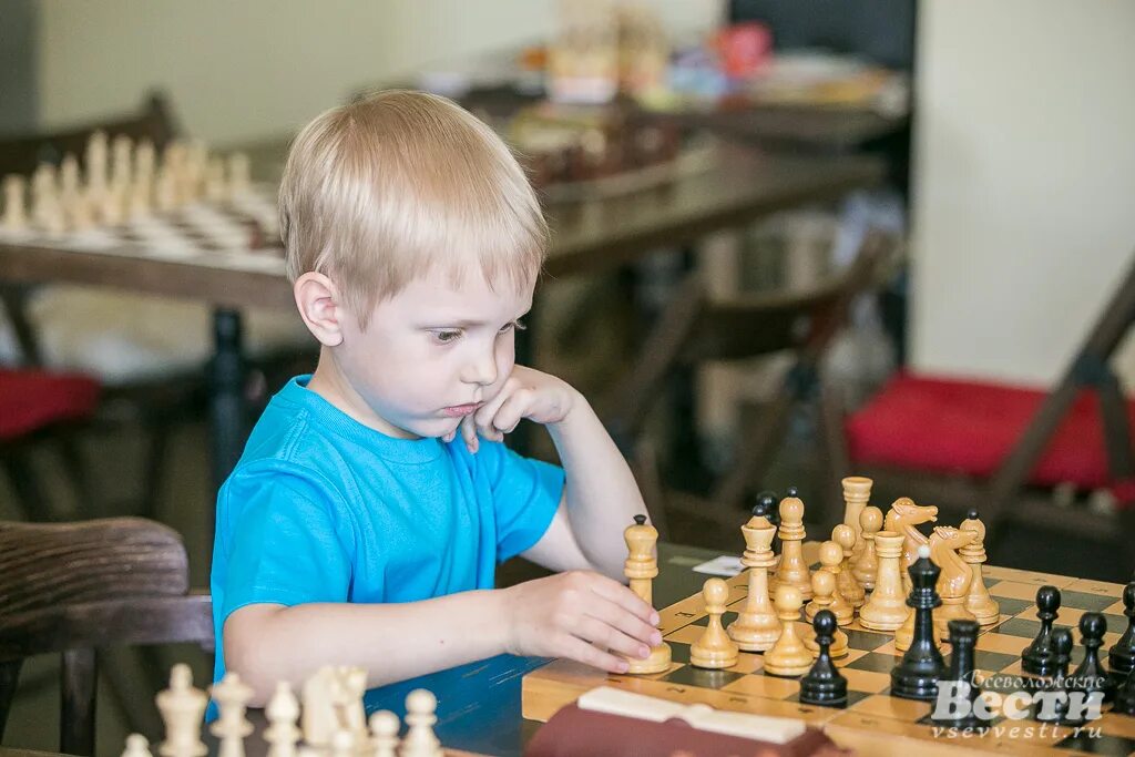 Гроссмейстер для детей. Солодовников "юный шахматист" (1951). Юный шахматист картинка для детей. Юный гроссмейстер. Дети играют в шахматы.