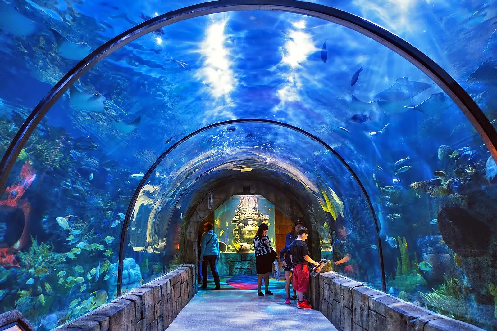 Океанариум топ. Siam ocean world в бангкоке. Aquarium. Океанариум окинава тюрауми. Океанариум окинава тюрауми.