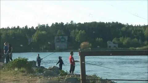 Рефтинский рыбхоз свердловская область