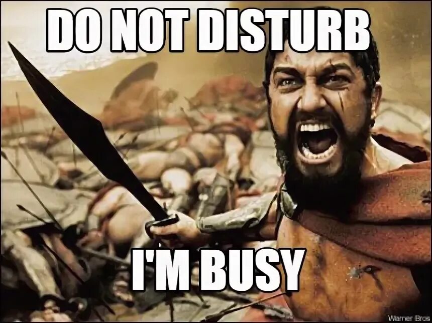 What are you busy with now. What are you busy with now
