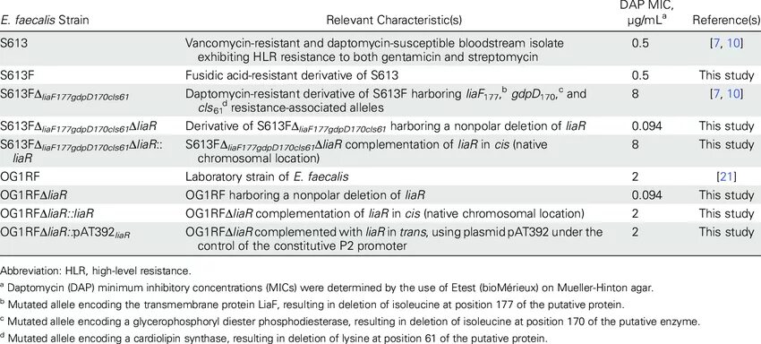 Enterococcus faecalis 10 в 4 степени. Enterococcus faecalis чувствительность к антибиотикам. энтерококк фекальный. enterococcus faecalis в антибиотики. enterococcus faecalis в мазке у мужчин.