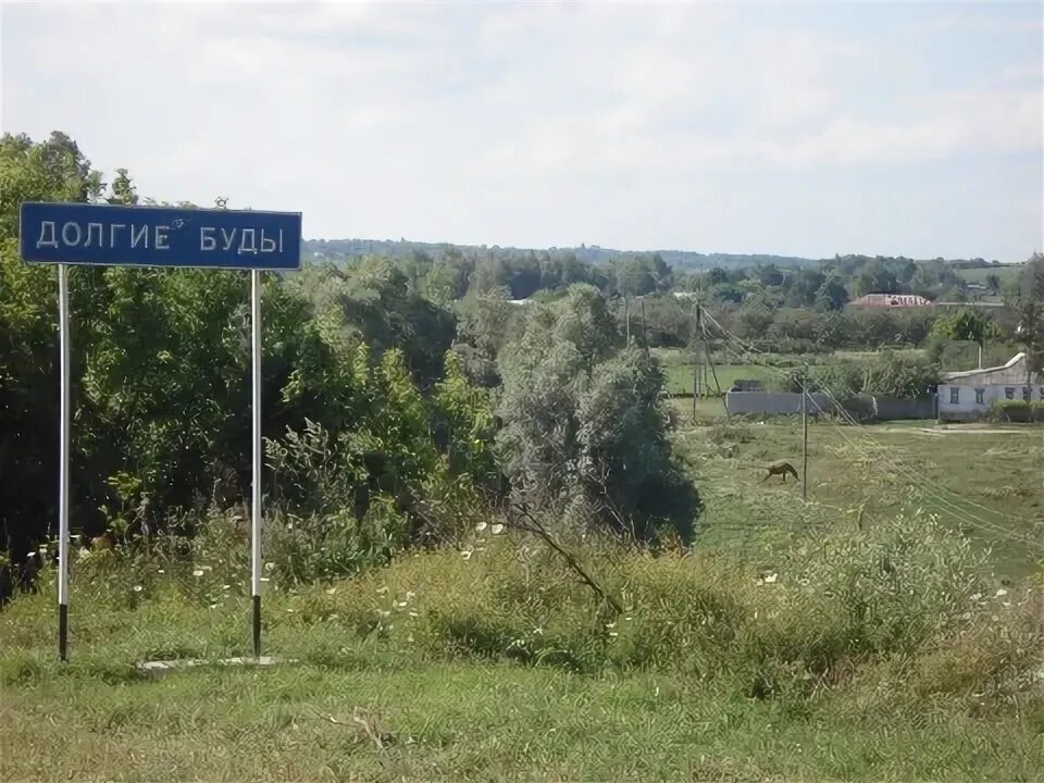 Долгие буды курская. Долгие буды Курская область. Долгие буды Курская область Беловский район. Село долгие буды Курская области. Курская область Беловский район село Петровы буды.