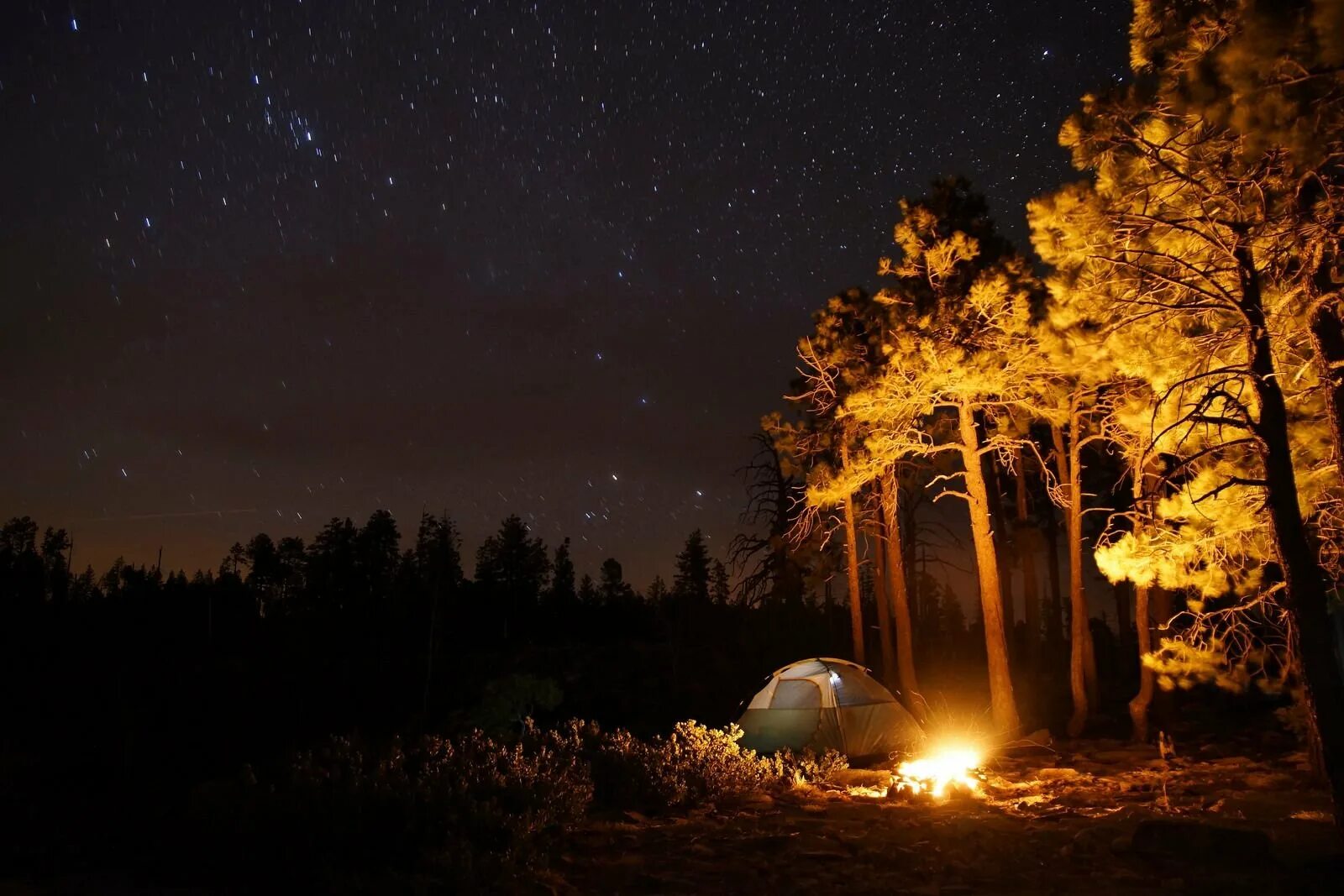 «Ночь в лесу». Поляна в лесу ночью. Палатка в лесу ночью. Ночь палатка костер. Величава ночь