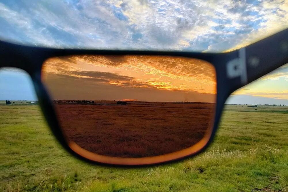 Polarized sunglasses