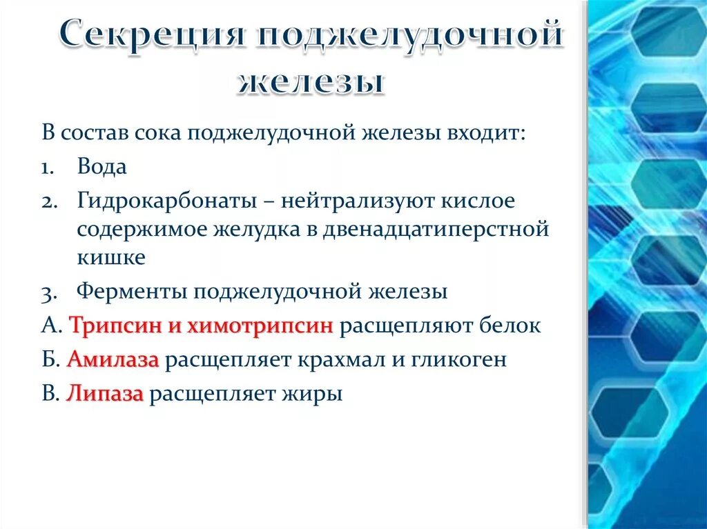 Состав и свойства секрета поджелудочной железы. Состав поджелудочного сока физиология. Секрет поджелудочной железы функции. Основные ферменты поджелудочной железы. Ферменты панкреатического сока расщепляют