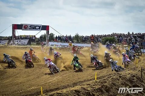 Заезды видео