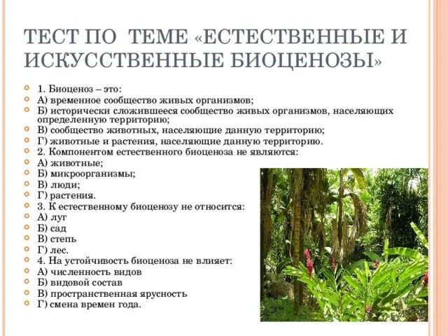 Тест состав и структура сообщества 9 класс. Видовое разнообразие у искусственного биоценоза. биоценоз сообщество примеры. естественные и искусственные биоценозы. природный биоценоз примеры.