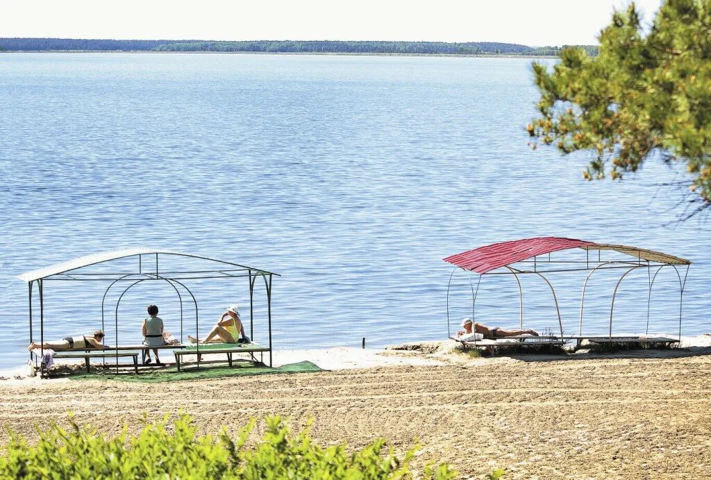 Озеро Медвежье Курганская область. Санаторий озеро Медвежье. Санаторий озеро Медвежье Курганская. Озеро Медвежка Курганской. Мертвое озеро курганская область