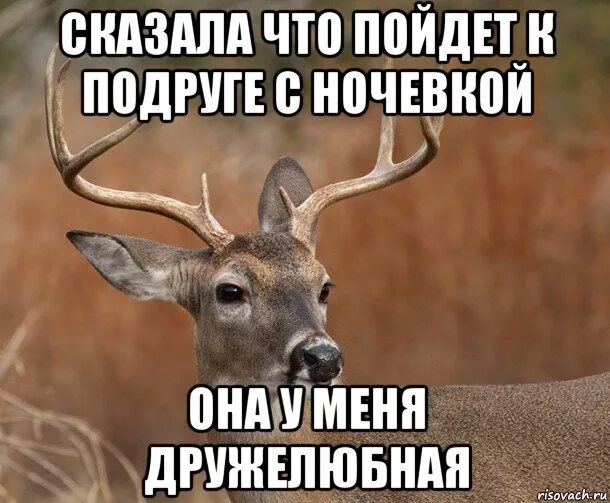 Пришел ночью к подруге