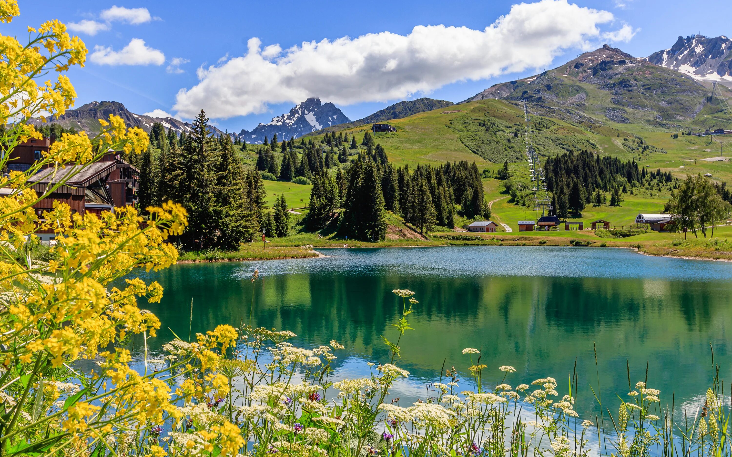 Лето гор. Альпийские луга швейцария альпийские луга швейцария. Лето гор. Доломитовые альпы. Лето гор.
