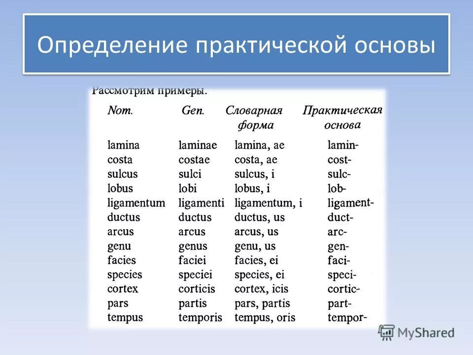 род существительного. род существительного словосочетание. род имён существительных исключения. род существительных банкнот. банкнота род существительного словарь.
