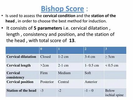 Bishop перевод