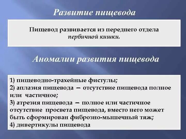 Формирование пищевода