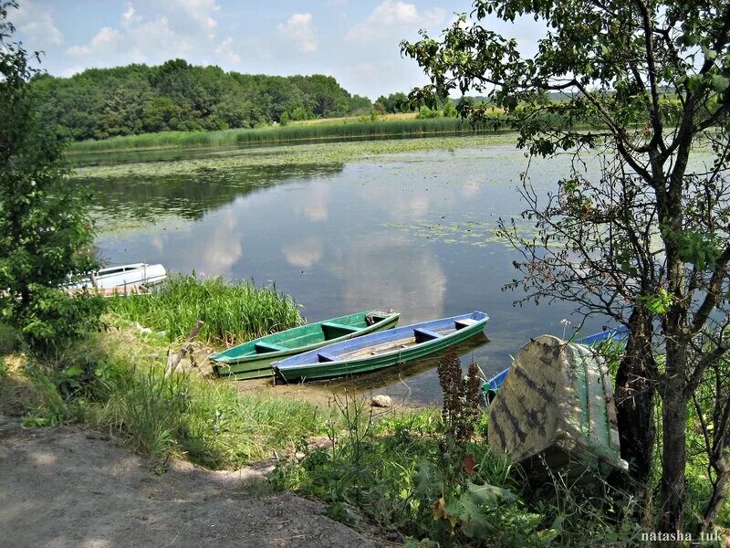 крутогорье липецк. с крутогорье липецкая область достопримечательность. конюшня крутогорье липецк. крутогорье липецк село. село крутогорье липецкая область.