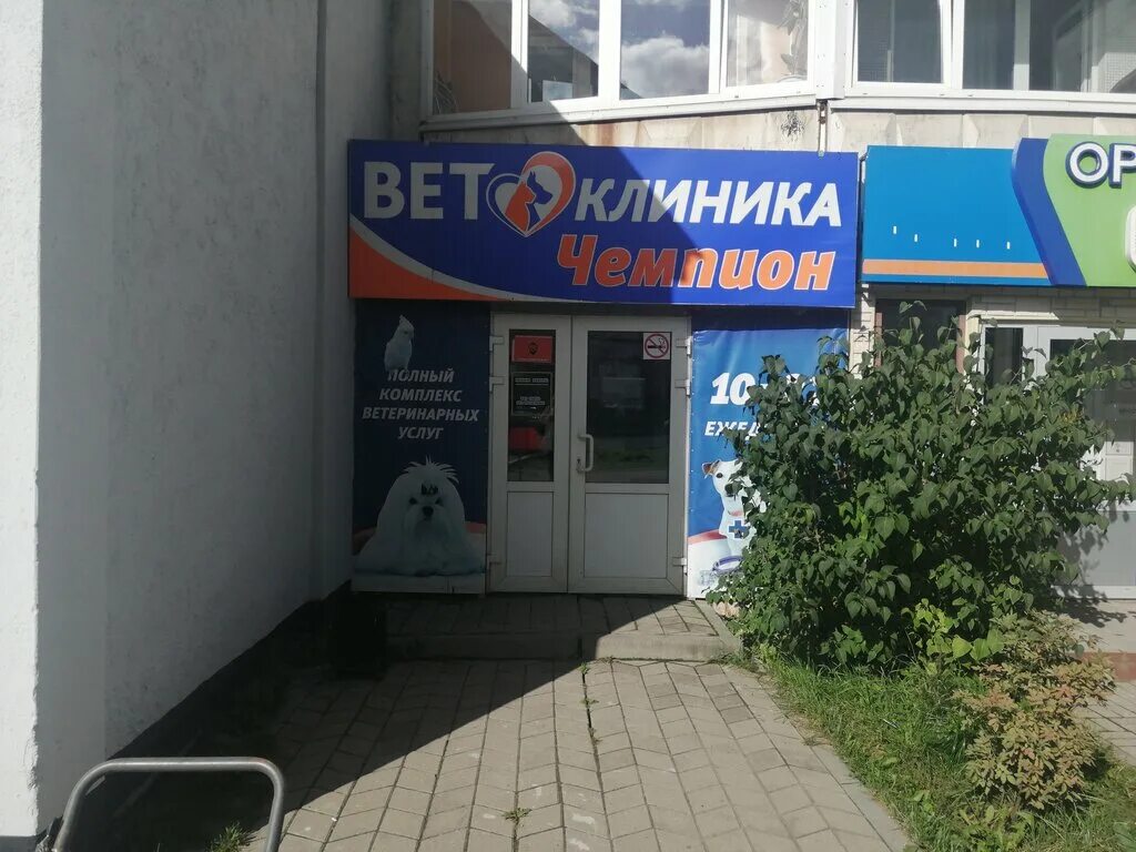 Ветклиника череповец телефон