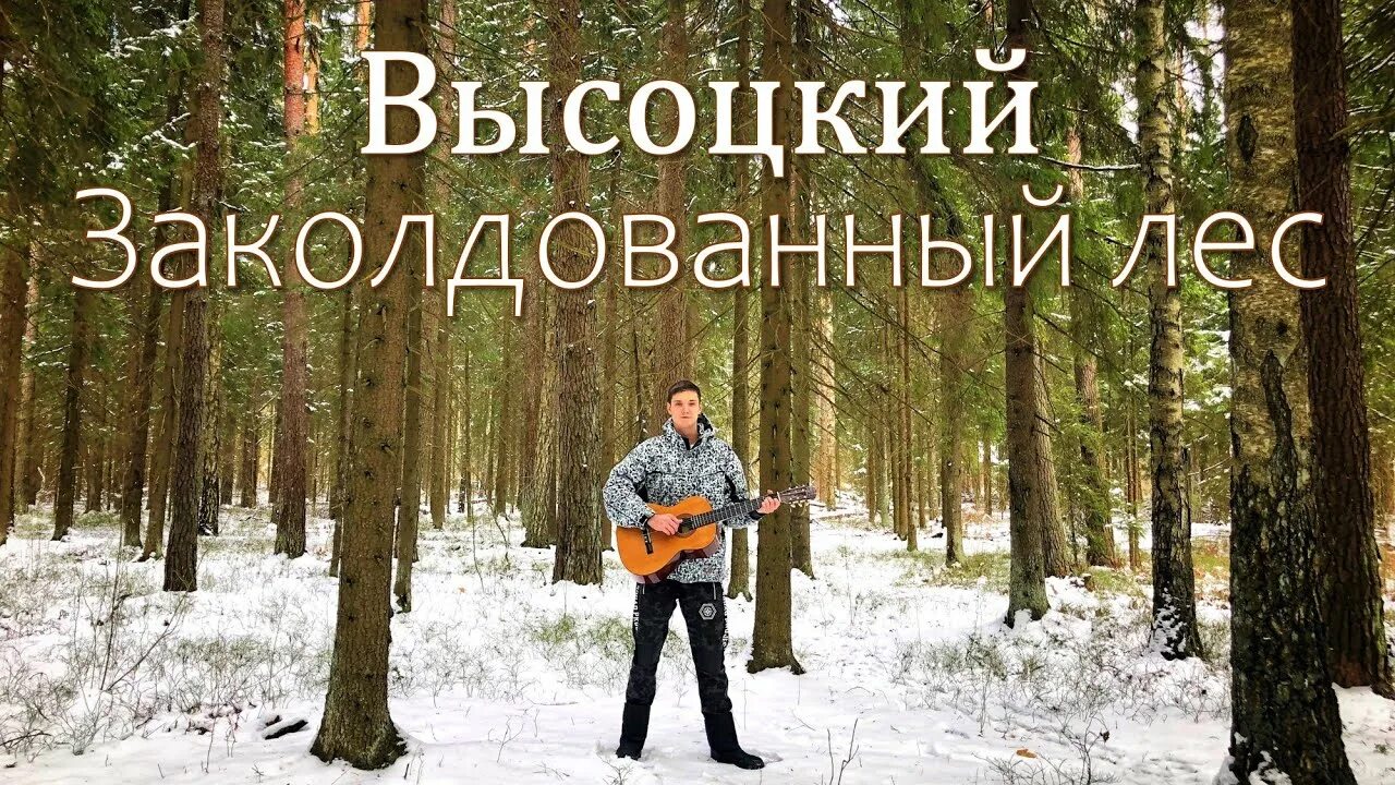 Высоцкий заколдованный лес. Высоцкий в лесу. Заколдованный лес Высоцкий слова. Высоцкий в лесу живешь заколдованном. Высоцкий шалаш слушать