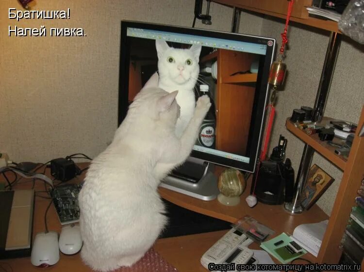 плакат с рюмкой. давай брат наливай. сплошное недоразумение. мир труд бухай. давай брат наливай.