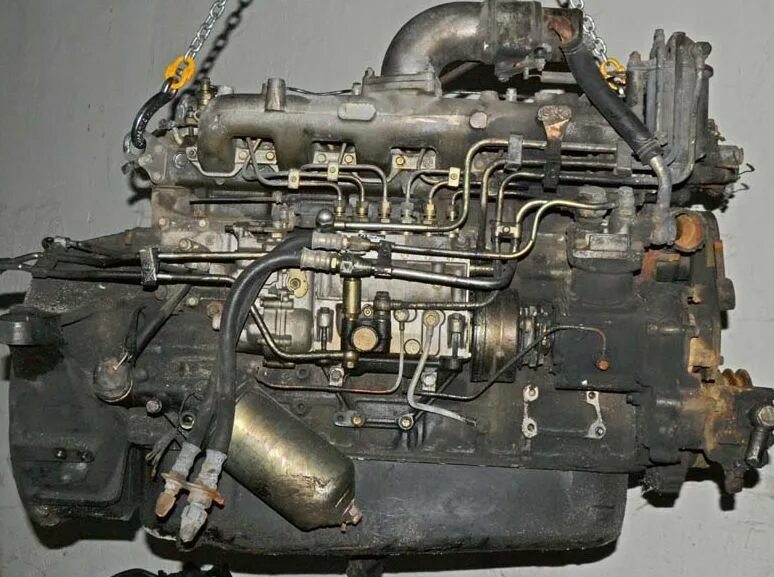 Isuzu 6bd1. Исудзу двигатель 6bd1. Модель двигателя Isuzu 4lb1. Двигатель Исузу форвард 6.5 дизель.
