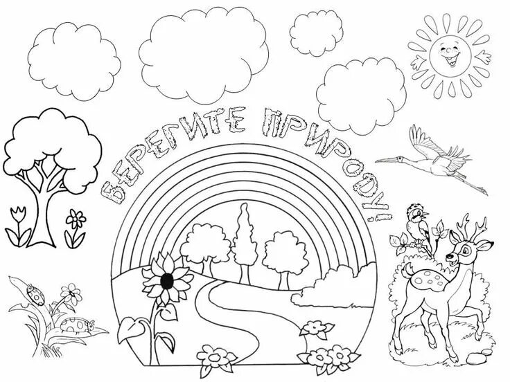 Темы для проекта по экологии для олимпиады Олимпиада по "Экологии"