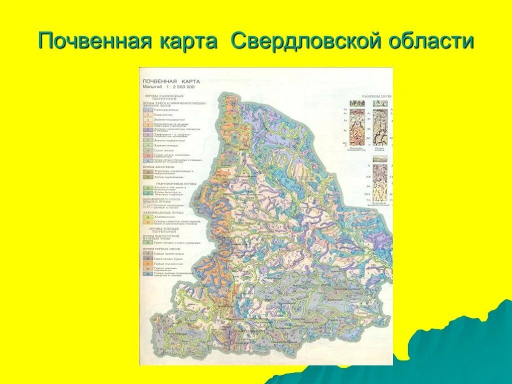 В какой зоне расположена свердловская область. Карта грунтов Свердловской области. Карта почв Свердловской области. Типы почв в Свердловской области карта. Типы почв в Свердловской области.