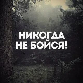 Храбростью и не знал