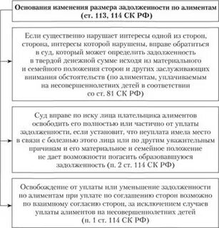 Могут ли алименты списать за долги