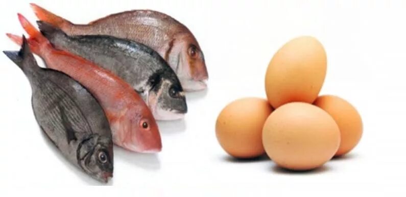 Мясо рыба яйца. Рыба с яйцами. Мясо рыба яйца для детей. Молоко яйца рыба.