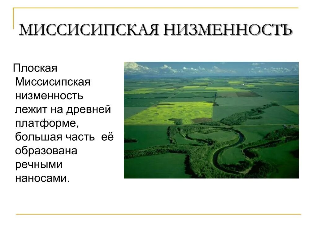 Рельеф миссисипской низменности. Примексиканская низменность северной америки. Приатлантическая низменность на карте северной америки. Примексиканская низменность. Приатлантическая и примексиканская низменности.