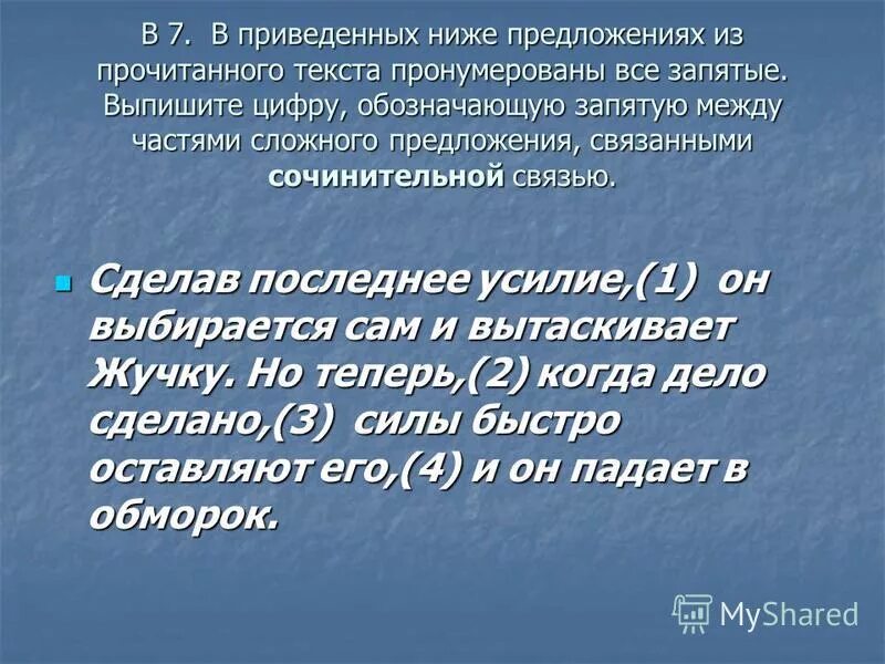 сочинение няня где жучка