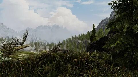 Skyrim improved