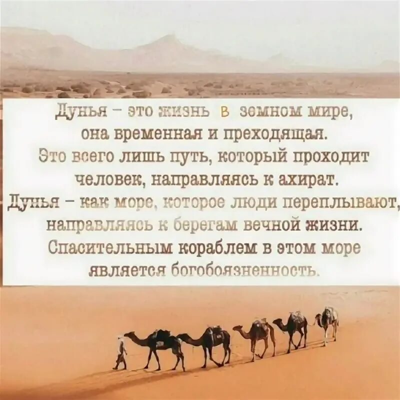 Дунья имя. Картинка по буквам дунья. Дунья картинки. Дунья имя. Ты моя дунья фото.