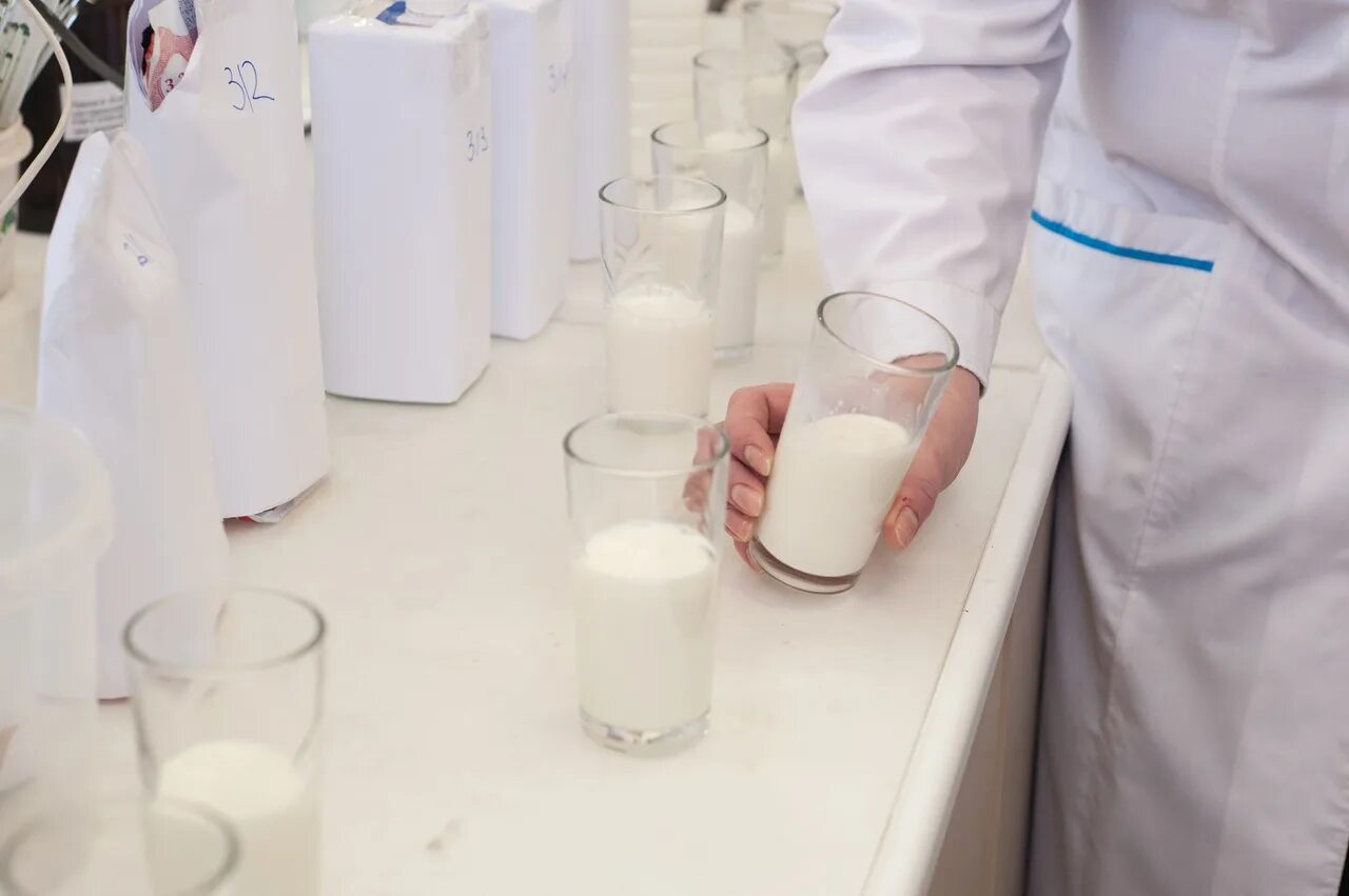 Ньюс молочный. Экспертиза молока и молочных продуктов. Экспертиза молочных продуктов. Исследование молока в лаборатории. Экспертиза качества молока.