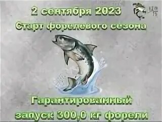 Юсупово платная рыбалка русфишинг. Юсупово платная рыбалка русфишинг