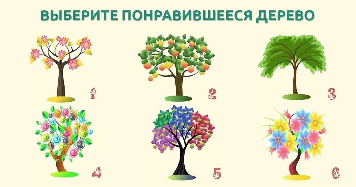 Приложение определяющее деревья. Приложение определяющее деревья. Липа европейская. Распознавание деревьев и кустарников в безлистном состоянии. Граб дендрология.