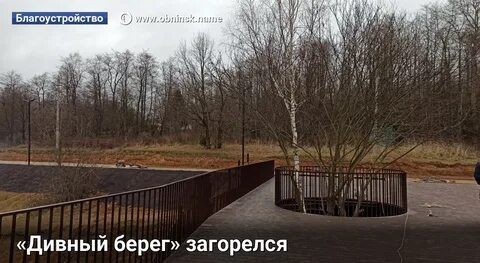 Черный берег 2024
