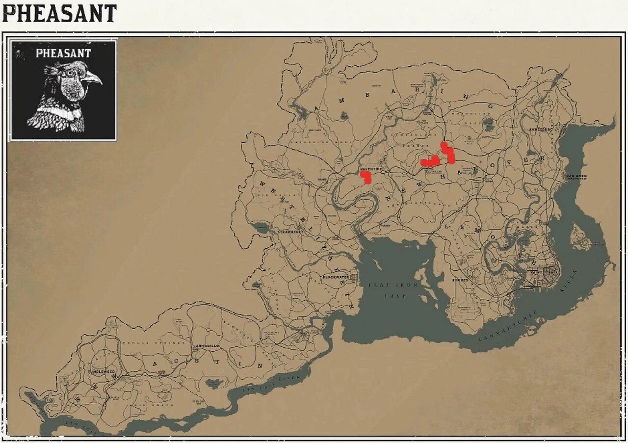 Рдр карта легендарных рыб. Red dead redemption 2 медведи на карте. red dead redemption 2 карта легендарных животных. легендарный медведь rdr 2 карта. red dead redemption карта животных.
